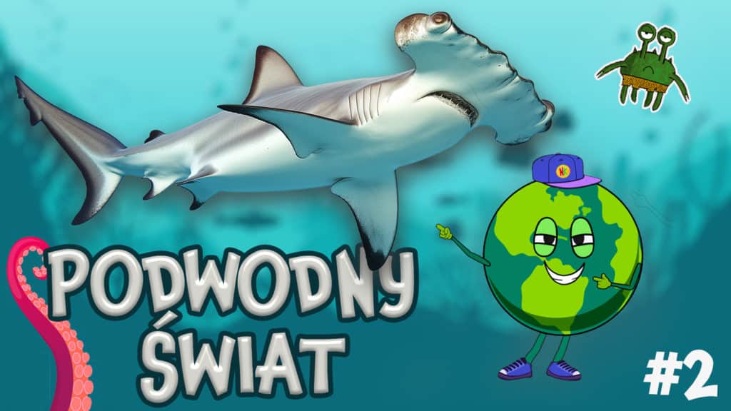 Najciekawsze Zwierzęta Morskie