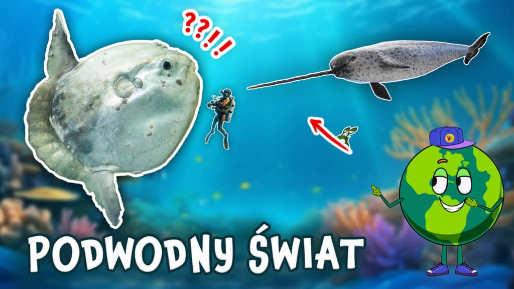 Zwierzęta Morskie – Najdziwniejsze i Największe