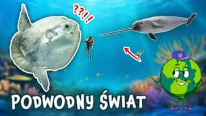 Zwierzęta Morskie - Najdziwniejsze i Największe