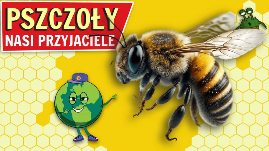 Pszczoły – Nasi Przyjaciele