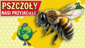 Pszczoły - Nasi Przyjaciele