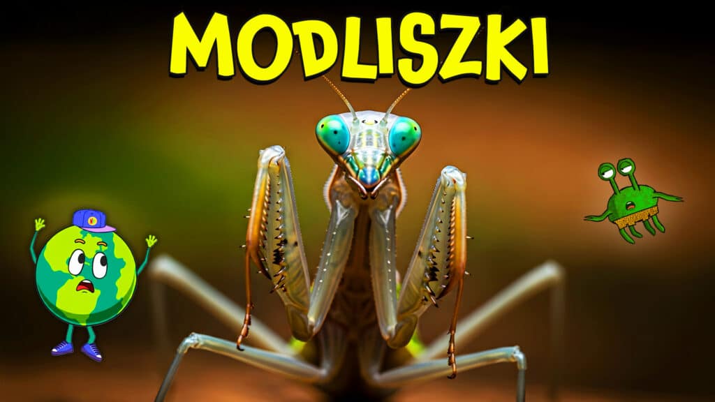 Modliszki  – Kosmici w ogrodzie?