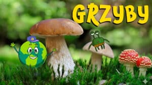 GRZYBY dla Dzieci