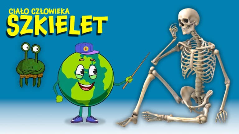 Szkielet i Kości dla Dzieci