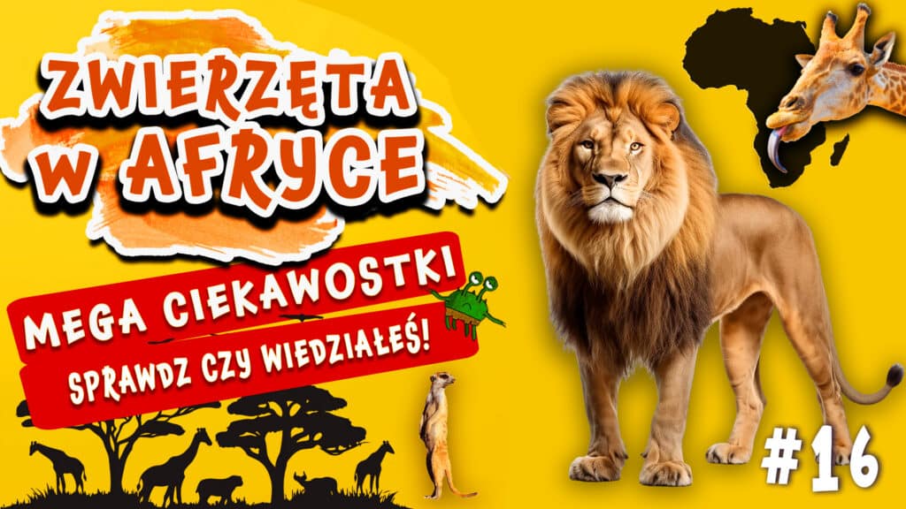 Zwierzęta w Afryce – Znasz je wszystkie?